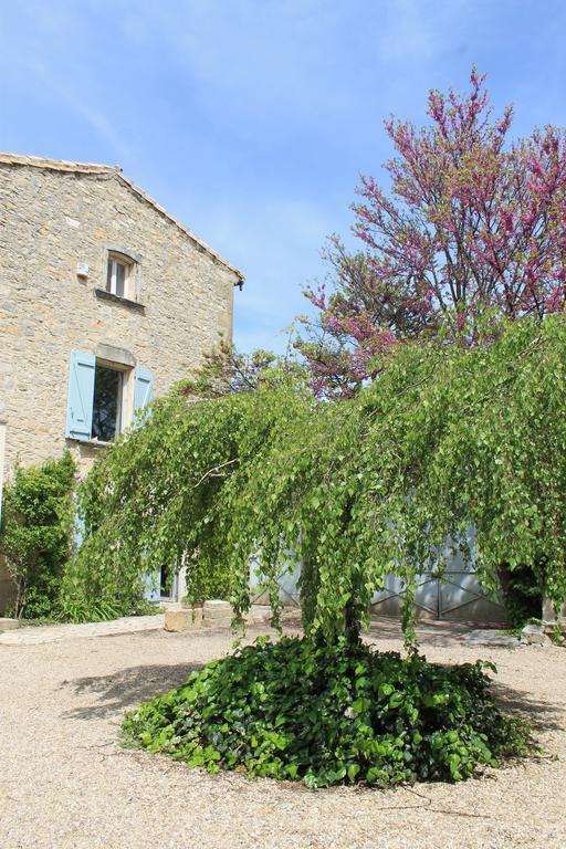 Bed and Breakfast La Rose Saint-Gervasy Exterior foto